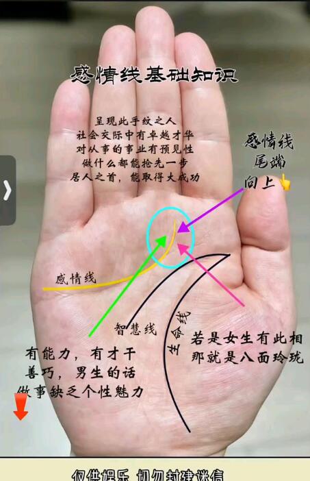 風水先生解讀掌中情緣：感情線的分叉密碼
