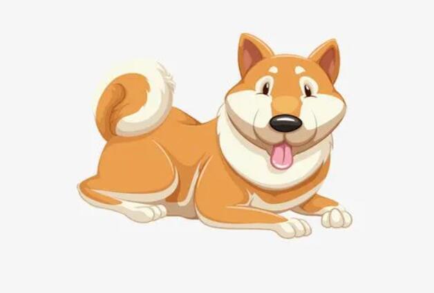 屬狗人2024年運(yùn)勢(shì)及運(yùn)程詳解