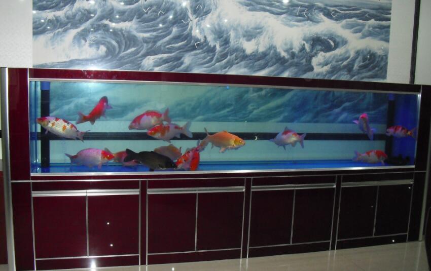 永康風(fēng)水先生老徐辦公室養(yǎng)魚(yú)養(yǎng)幾條魚(yú)最好?